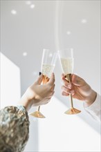 Toasting with champagne new year party. Resolution and high quality beautiful photo