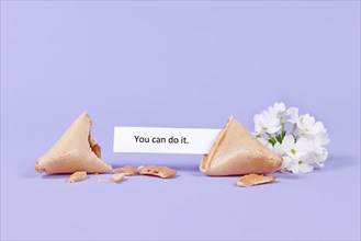 Motivational text in fortune cookie saying 'You can do it' on purple background with flower