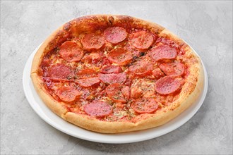 Small size pizza pepperoni on a plate