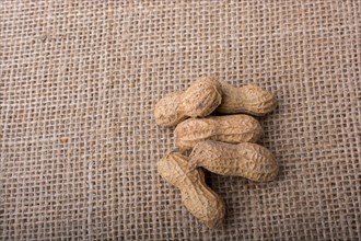Peanuts with shell on linen canvas background