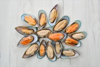 Raw large mussels in half shell on wooden background