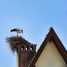 Stork in nest on chimney
