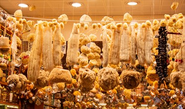 Collection of natural marine sea sponges for spa and Wellness on a market stall