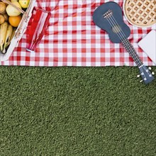 Picnic composition with copyspace