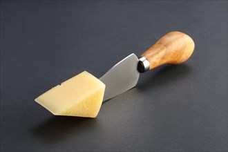 Triangle piece of cheese parmesan on fork on dark background