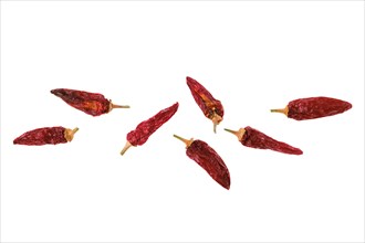 Dried whole chilli pepper isolated on white background