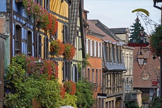 Colourful half-timbered houses in the historic old town of Riquewihr