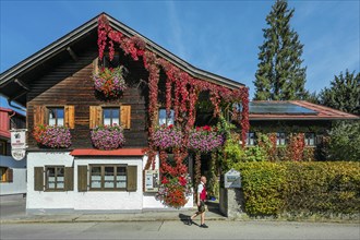 Wooden house with floral decoration and vegetation of widem vine