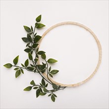 Wooden circle frame with green artificial leaves white backdrop. Resolution and high quality beautiful photo