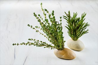 Thyme and rosemary in small stone vase on kitchen table