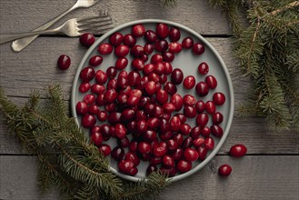 Flat lay plate cranberries with pine forks