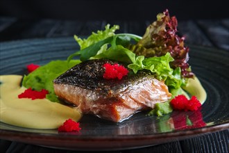 Selective focus photo of fried piece of salmon with creamy sauce and green salad leaves decorated with caviar