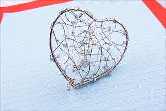 Heart cage on a lined background