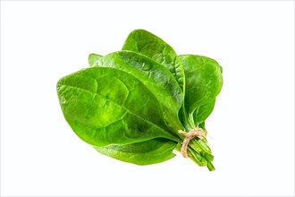 Fresh green baby spinach leaves isolated on white