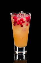 Cranberry cocktail with ice cubes