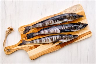 Top view of raw fresh icefish on wooden cutting board