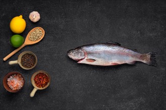 Overhead view of fresh raw trout with spice on black stone background
