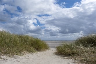Path through dunes to the beach