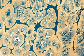 Ebru marbling handmade art