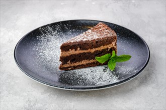 Triangular piece of chocolate cake on a plate