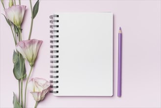 Eustoma flowers with blank spiral notebook with purple pencil against pink background