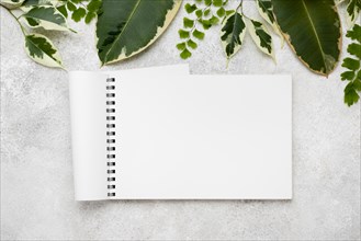 Flat lay beautiful plant leaves with notebook
