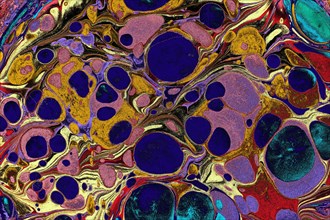 Ebru marbling handmade art