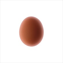 Closeup view of brown chicken egg isolated on white background