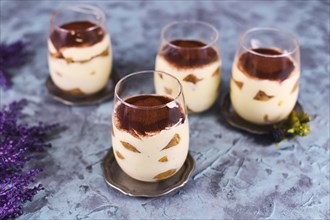 Homemade coffee flavored layered Italian mascarpone cheese Tiramisu dessert topped with cocoa in glasses