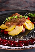 Closeup view of duck breast with apple and currant sauce