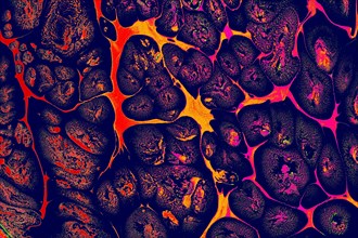 Ebru marbling handmade art