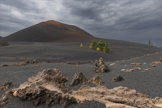 Chinyero Volcano