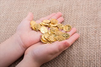 Plenty of fake gold coins in hand on canvas