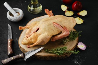 Raw whole country duck on wooden cutting board