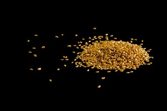 Pile of gold plated sesame seeds on black background