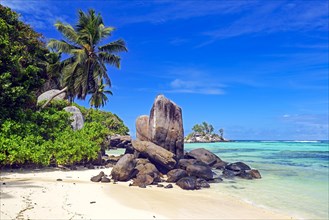 Coconut palms and granite rocks on the dream beach Anse Royal