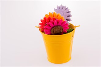 Different color flowers in bucket on white background