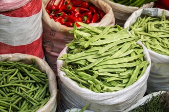 Green fresh beans in a sack in the view