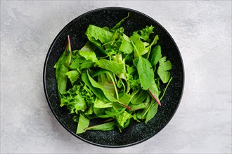 Top view of plate with assortment of fresh salad leaves