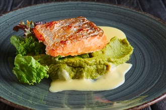 Fried salmon fillet with salad leaves and cream sauce decorated with caviar