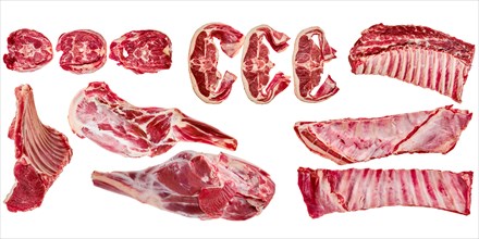 Fresh lamb cuts. Different parts of mutton meat isolated on white