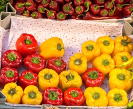 Red and yellow pepper found at the market stand