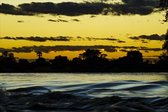 Zambezi river rapids landscape with palm trees