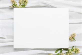 White blank placard with flowers scarf. Resolution and high quality beautiful photo