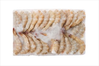 Raw tiger shrimp frozen in large ice cube isolated on white background