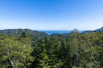 Overlook over the forested south coast of Sakhalin