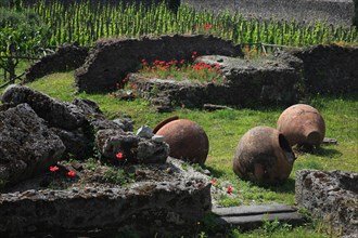 The amphora field at the Garden of Refugees