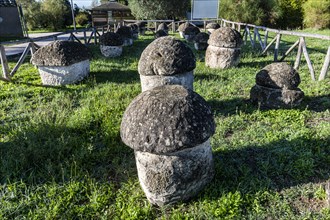 Little mounds in the Necropolis of Tarchuna