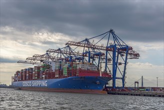 Container ship being unloaded at the Port of Hamburg