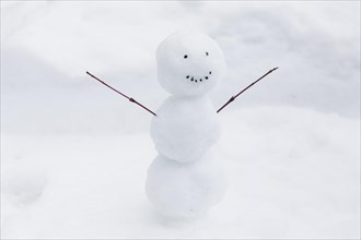Funny snowman snow bank